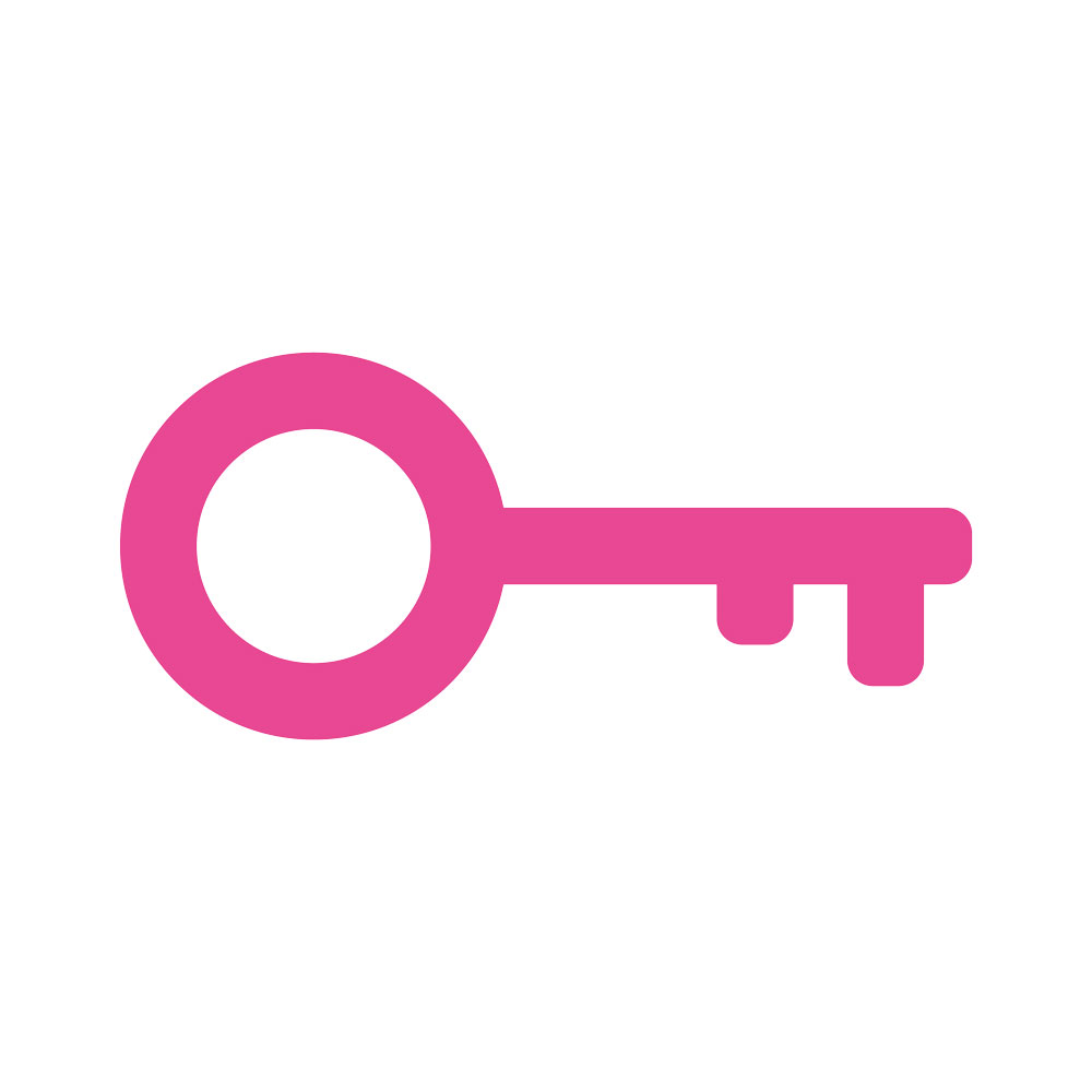 Graphic / icon of a key